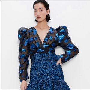 Zara NWT Organza Metallic Sheer Floral Blouse